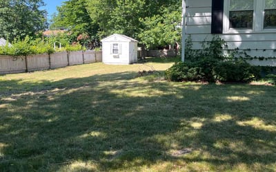 Photo of John H.'s yard after getting landscaping in West Roxbury, MA
