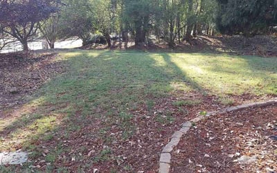 Photo of Rob -.'s yard after getting landscaping in Luthersville, GA