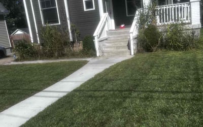 Photo of Matthew J.'s yard after getting tree care in Cincinnati, OH