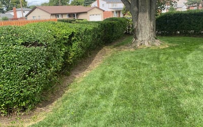 Photo of Larry H.'s yard after getting landscaping in West Bloomfield, MI