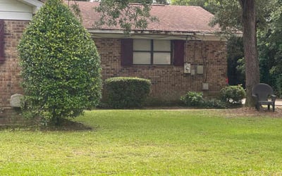 Photo of Ashley W.'s yard after getting landscaping in Century, FL