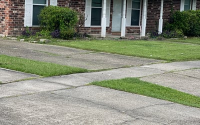 Photo of Vanisha A.'s yard after getting landscaping in Clinton, LA