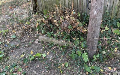 Photo of Kimberly P.'s yard after getting landscaping in Hebron, OH