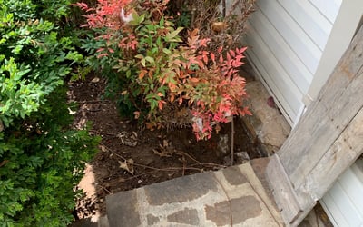 Photo of Joshua R.'s yard after getting landscaping in Bristow, OK