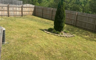 Photo of Sharon C.'s yard after getting landscaping in Pinson, AL