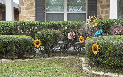 Photo of Paul B.'s yard after getting landscaping in Keller, TX