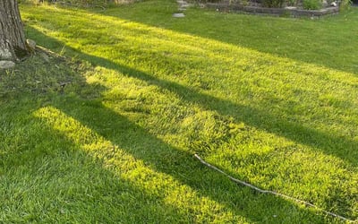 Photo of Kelly G.'s yard after getting landscaping in Milford Center, OH