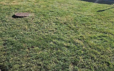 Photo of Yvette T.'s yard after getting landscaping in Murray City, OH