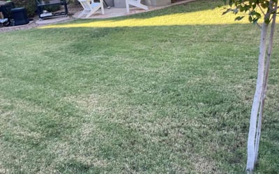 Photo of Jessica G.'s yard after getting landscaping in San Manuel, AZ