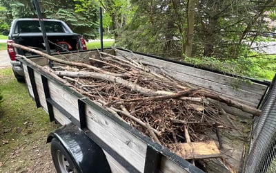 Photo of Mark W.'s yard after getting landscaping in Northwood, OH