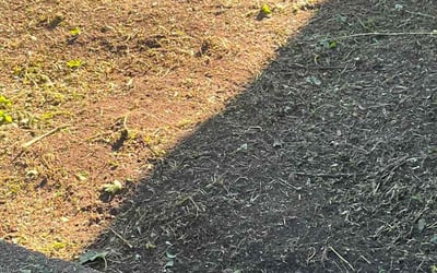 Photo of Jessica H.'s yard after getting landscaping in Galena, OH