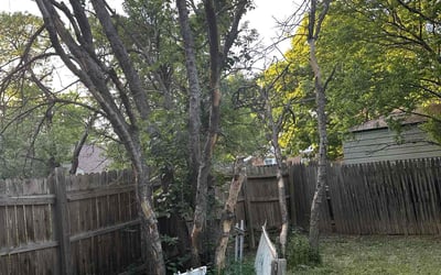 Photo of Victoria C.'s yard after getting landscaping in Canyon, TX
