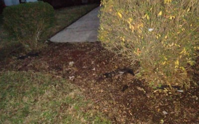 Photo of Michele H.'s yard after getting landscaping in Hudgins, VA