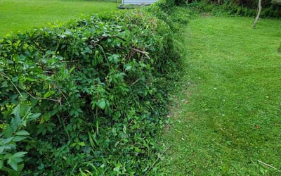 Photo of Maurice C.'s yard after getting landscaping in Dickerson, MD