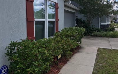 Photo of Sharon B.'s yard after getting landscaping in Key Largo, FL