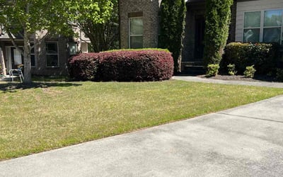 Photo of Cheryl H.'s yard after getting landscaping in Dacula, GA