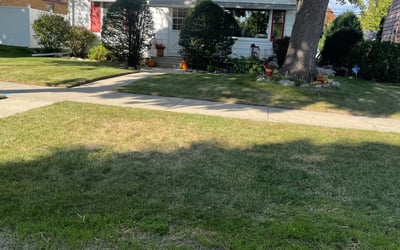 Photo of Lisa B.'s yard after getting landscaping in Eagle, WI
