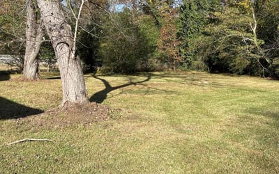 Photo of Jordan S.'s yard after getting landscaping in Statham, GA