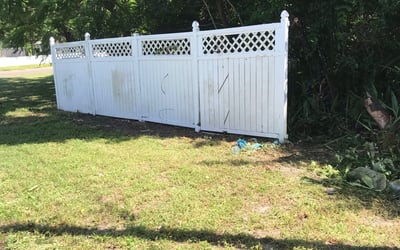 Photo of Sara P.'s yard after getting landscaping in Ozona, FL