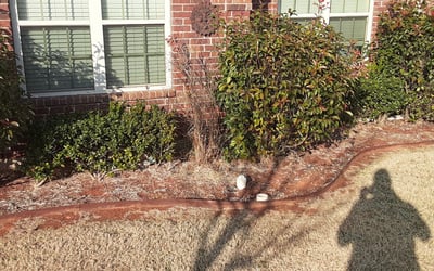 Photo of Matt L.'s yard after getting landscaping in El Reno, OK