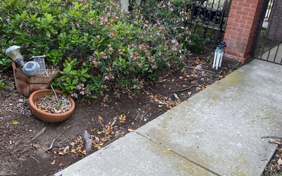 Photo of Gloria M.'s yard after getting landscaping in Santa Ysabel, CA