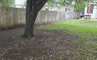 Photo of Dan M.'s yard after getting landscaping in Red Rock, TX