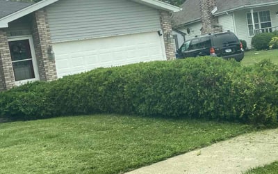 Photo of Matthew H.'s yard after getting landscaping in Monee, IL