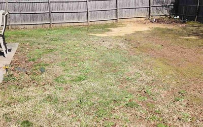 Photo of Andrew S.'s yard after getting landscaping in Vale, NC