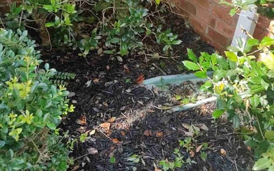 Photo of Catherine C.'s yard after getting landscaping in Hermitage, TN