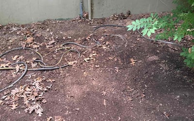 Photo of William R.'s yard after getting tree care in Knightdale, NC