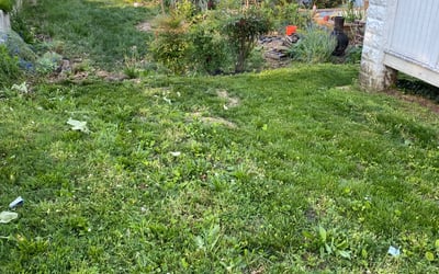 Photo of Tammy K.'s yard after getting landscaping in Oakton, VA