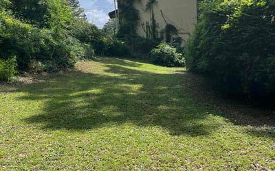 Photo of John P.'s yard after getting landscaping in Atlanta, GA