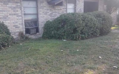 Photo of John P.'s yard after getting tree care in Duncanville, TX