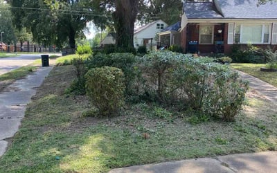 Photo of Teresa U.'s yard after getting landscaping in Brighton, TN