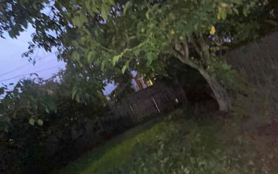 Photo of Ryan T.'s yard after getting landscaping in Mukilteo, WA