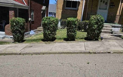 Photo of Carla P.'s yard after getting landscaping in Mc Kees Rocks, PA