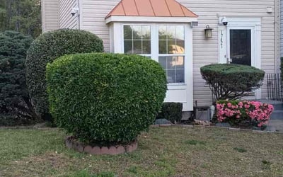 Photo of Dwight B.'s yard after getting landscaping in Dumfries, VA