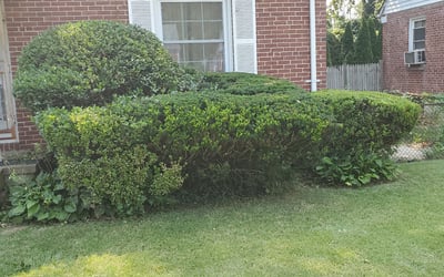 Photo of Renard S.'s yard after getting landscaping in Lothian, MD