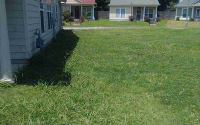 Photo of Paris J.'s yard after getting landscaping in Somerville, TN