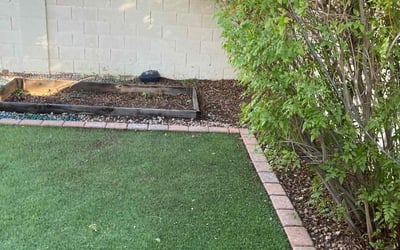 Photo of Mike J.'s yard after getting landscaping in Cashion, AZ