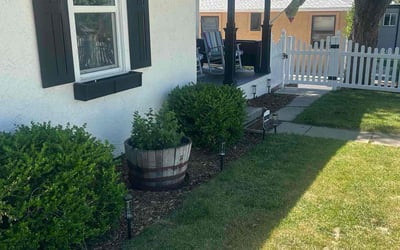 Photo of Laura P.'s yard after getting tree care in Longmont, CO