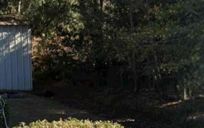 Photo of Stacey C.'s yard after getting landscaping in Summerville, SC