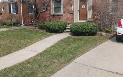 Photo of Sarah H.'s yard after getting landscaping in Dearborn, MI