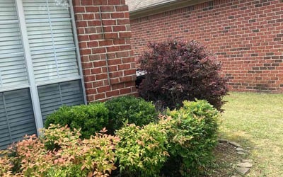 Photo of Michael H.'s yard after getting landscaping in Warrior, AL