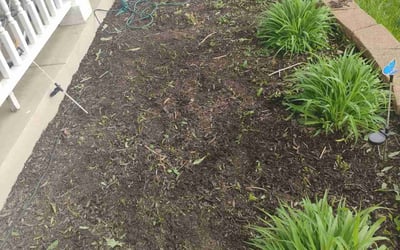 Photo of Brooke B.'s yard after getting landscaping in Plainfield, IL