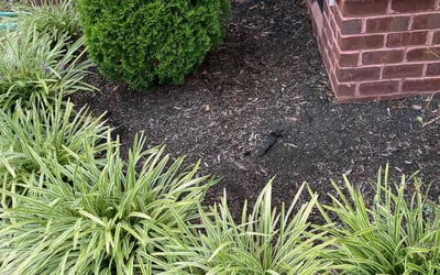 Photo of Amber G.'s yard after getting landscaping in Gwynn, VA