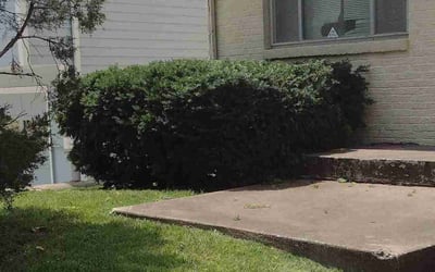 Photo of Marie H.'s yard after getting landscaping in Braymer, MO