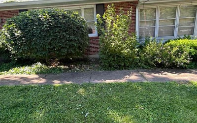 Photo of Scott T.'s yard after getting landscaping in Florissant, MO