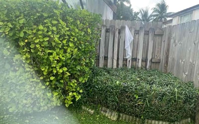 Photo of ELIZABETH F.'s yard after getting landscaping in Opa Locka, FL