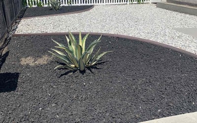 Photo of Lee L.'s yard after getting landscaping in Santa Monica, CA
